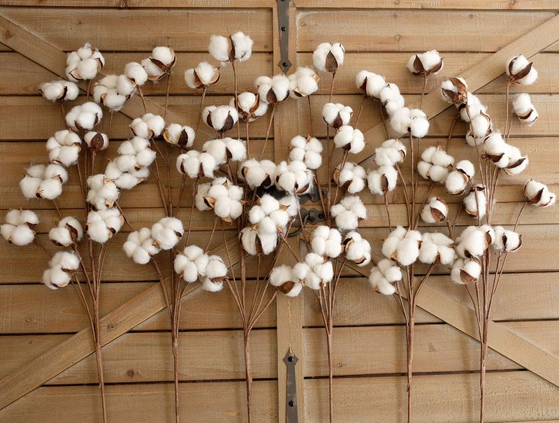 idyllic Cotton Stems Decor Branches, Cotton Flowers Plants for Decorations, Dried Flowers for Vase, 6 Pcs-31 Inches Tall - 12 Bolls per Stem - Image 3